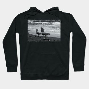 The Institute of Marine Studies Hoodie